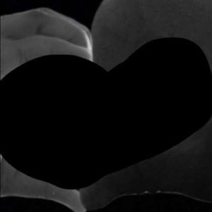 Meet your Posher, Travon